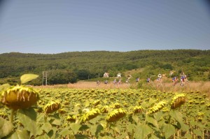 Picture OSKA 2013 NIKON (102)