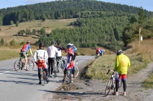 Picture OSKA 2013 NIKON (356)