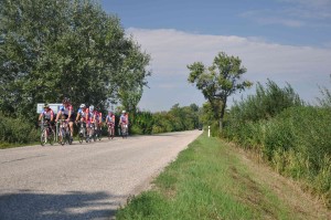 Picture OSKA 2013 NIKON (43)